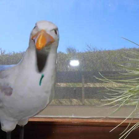 Haus Alice - Segatz 36/2 아파트